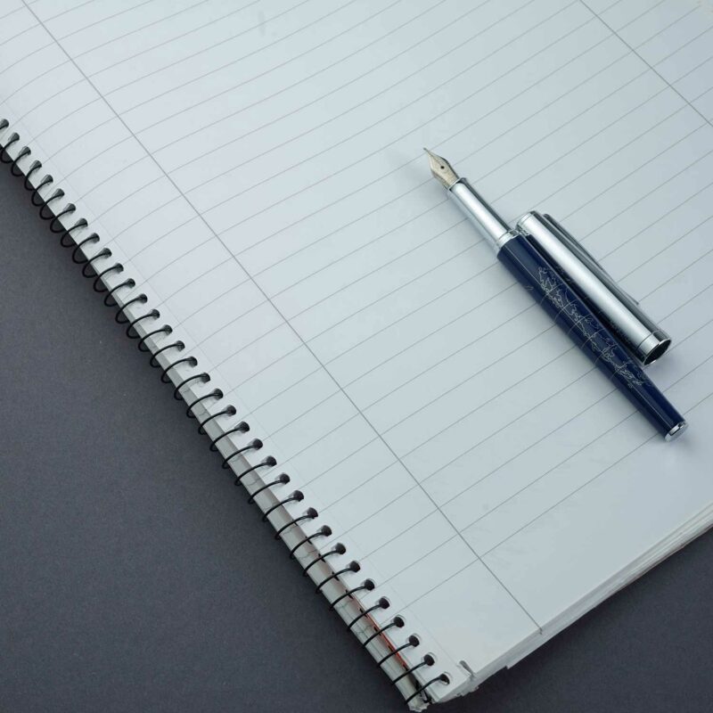 Hörner Terra Füllfederhalter I Schönes Design I Weiches Schreiben I Ideal für Studenten, Lehrer und Büro I Konverter-Geeignet