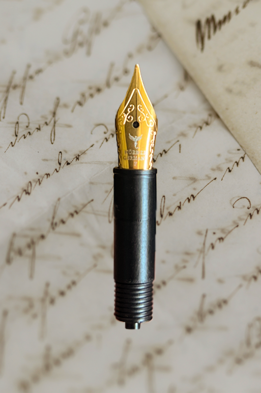 Hörner Feder I Jowo I Größe 5 I Gold lackiert